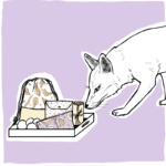 Categoría Accesorios Vulpes Artesana