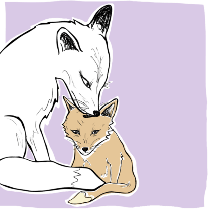 Categoría Crianza Vulpes