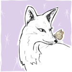 Categoría Cuidado facial Vulpes